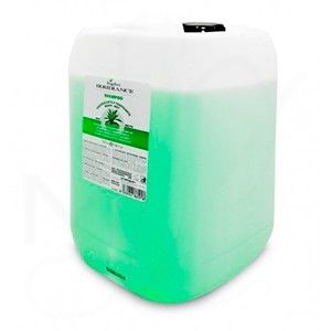 fan/champu menta garrafa 10lt