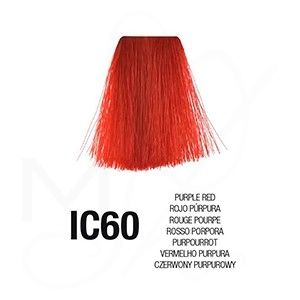 PQ-ROJO PURPURA IC60